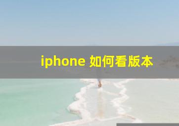 iphone 如何看版本